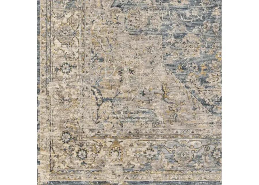 Aspendos APS-2304 2'7" x 7'3" Rug