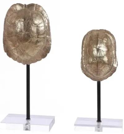 Eris Turtle Shell Table Decor - Set Of 2 