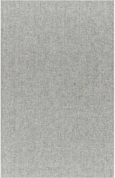 Birdie BORD-2302 8'11" x 12' Machine Woven Rug