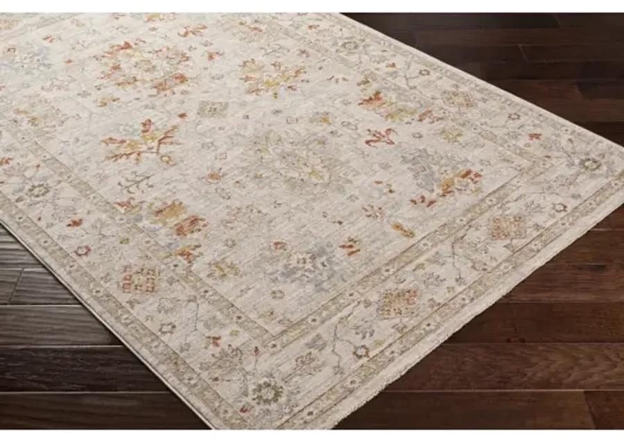 Avant Garde AVT-2311 2'7" x 10' Rug