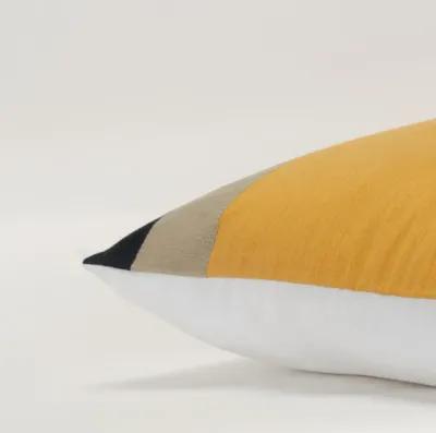 color block  gold Pillow