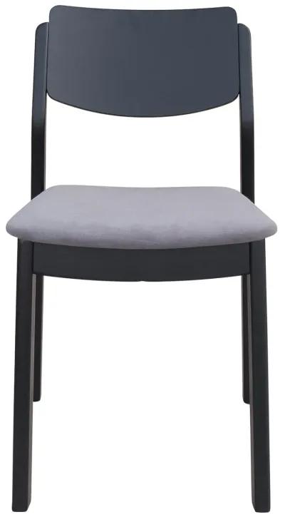 Desdamona Dining Chair (Set of 2) Gray & Black