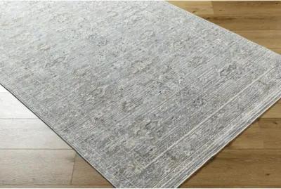 Presidential PDT-2330 3'3" x 5' Machine Woven Rug