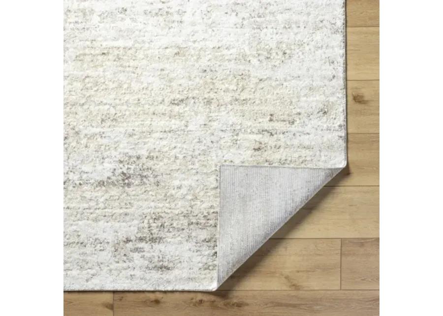 Andorra Plus ARP-2305 5'3" x 7'3" Machine Woven Rug