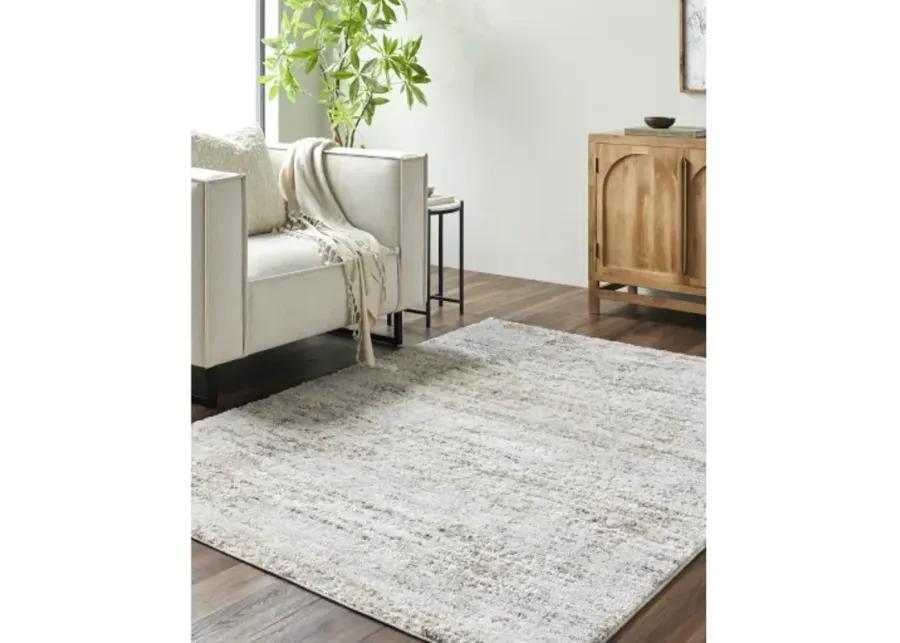 Andorra Plus ARP-2305 5'3" x 7'3" Machine Woven Rug