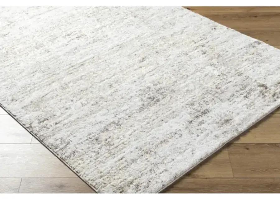 Andorra Plus ARP-2305 5'3" x 7'3" Machine Woven Rug