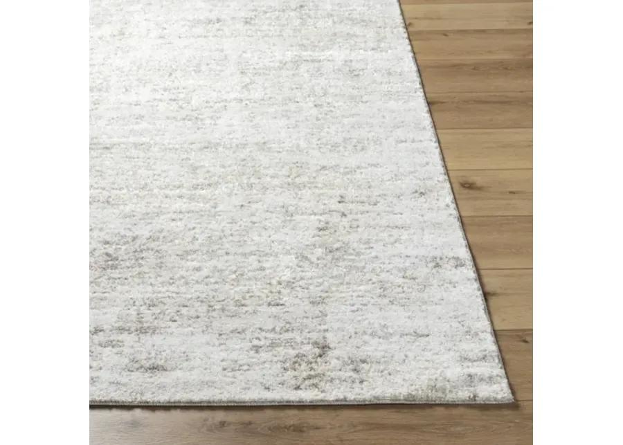 Andorra Plus ARP-2305 5'3" x 7'3" Machine Woven Rug