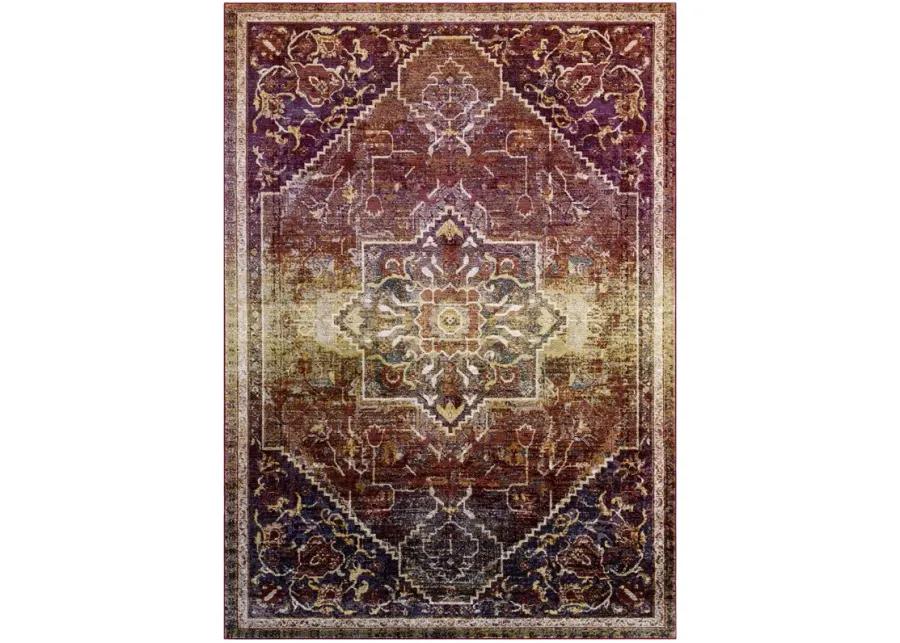 Success Kaede Transitional Distressed Vintage Floral Persian Medallion 5x8 Area Rug