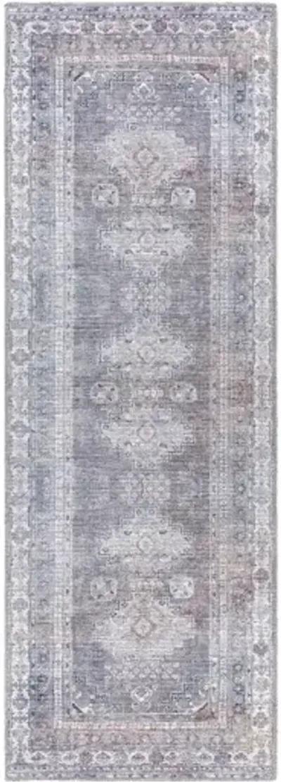 Colin CLN-2304 2'7" x 7'3" Rug