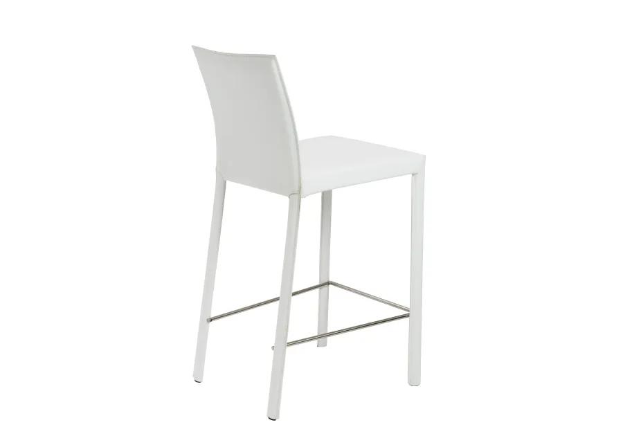 Hasina Counter Stool in White with Polished Stainless Steel Legs - Set of 2