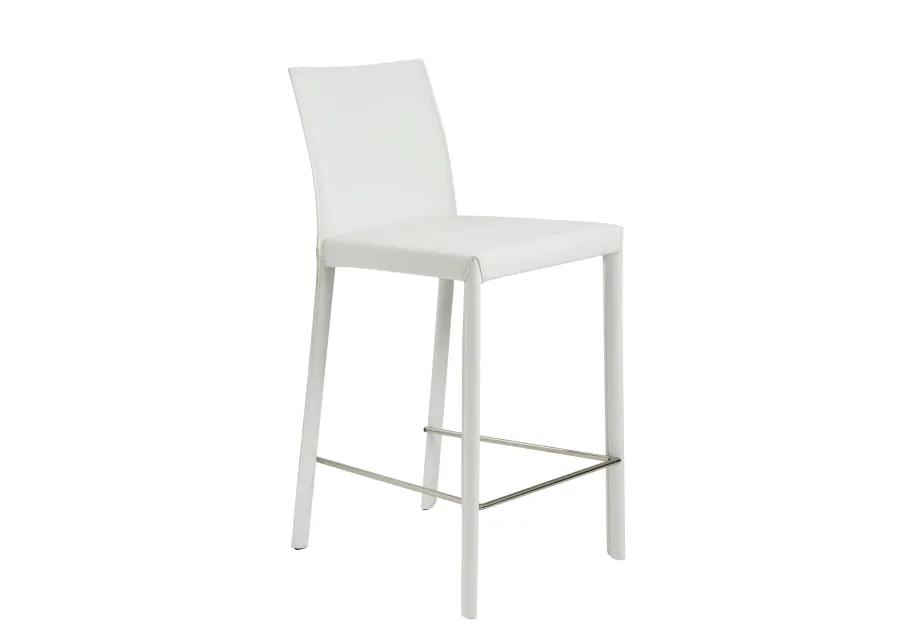 Hasina Counter Stool in White with Polished Stainless Steel Legs - Set of 2