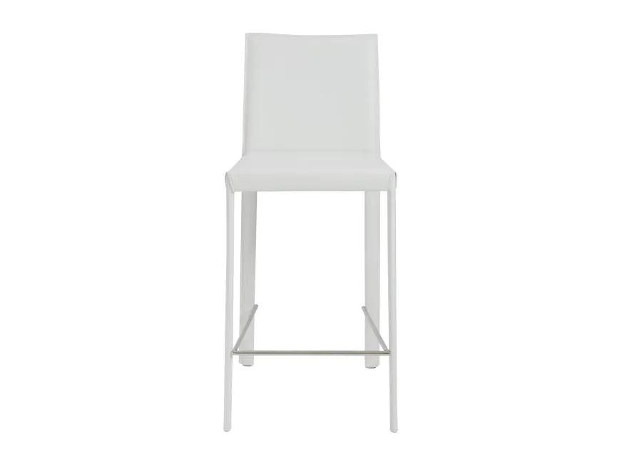 Hasina Counter Stool in White with Polished Stainless Steel Legs - Set of 2