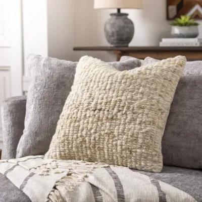 Zayden ZYN-002 22"L x 22"W Accent Pillow