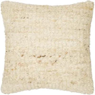 Zayden ZYN-002 22"L x 22"W Accent Pillow