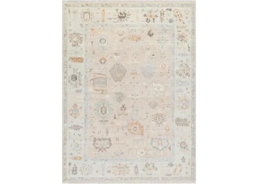 Antalya AAT-2314 6' x 9' Handmade Rug