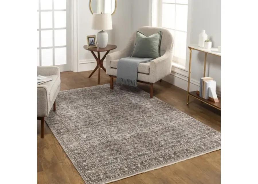 Carlisle CSI-2301 2'11" x 10' Rug