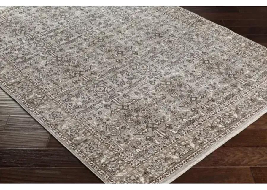 Carlisle CSI-2301 2'11" x 10' Rug