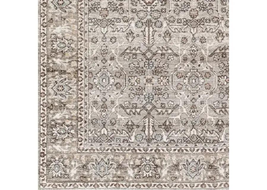 Carlisle CSI-2301 2'11" x 10' Rug