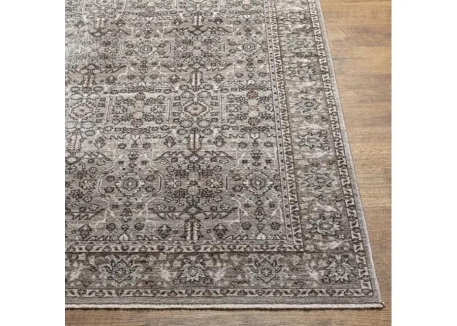 Carlisle CSI-2301 2'11" x 10' Rug