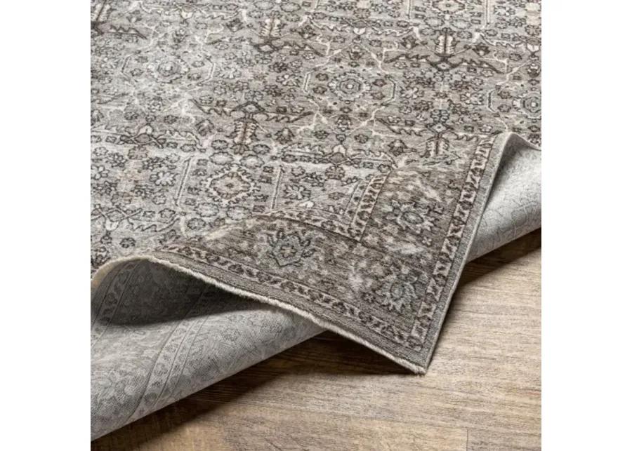 Carlisle CSI-2301 2'11" x 10' Rug