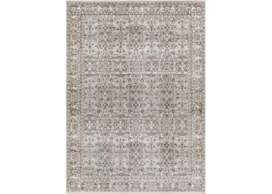 Carlisle CSI-2301 2'11" x 10' Rug