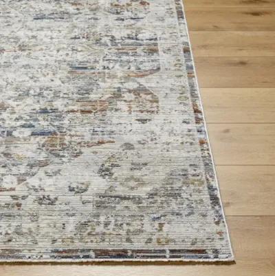 Edmonton EDO-2300 6'7" x 9' Machine Woven Rug