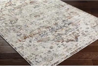 Edmonton EDO-2300 6'7" x 9' Machine Woven Rug