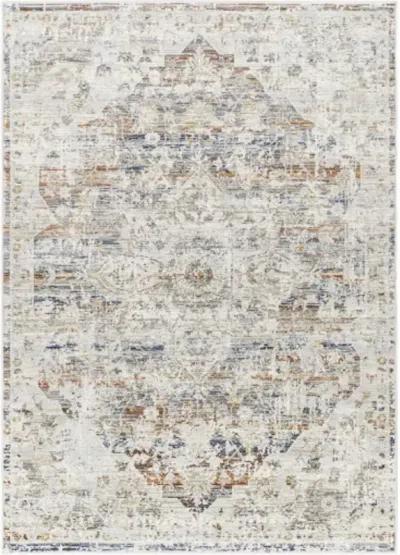 Edmonton EDO-2300 6'7" x 9' Machine Woven Rug