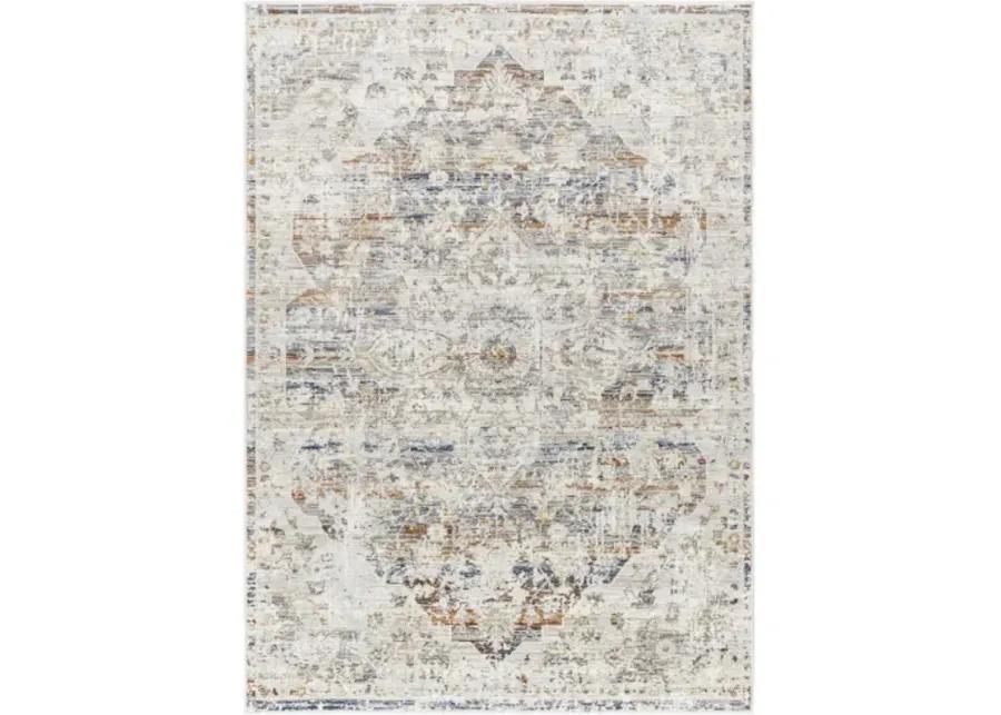 Edmonton EDO-2300 6'7" x 9' Machine Woven Rug