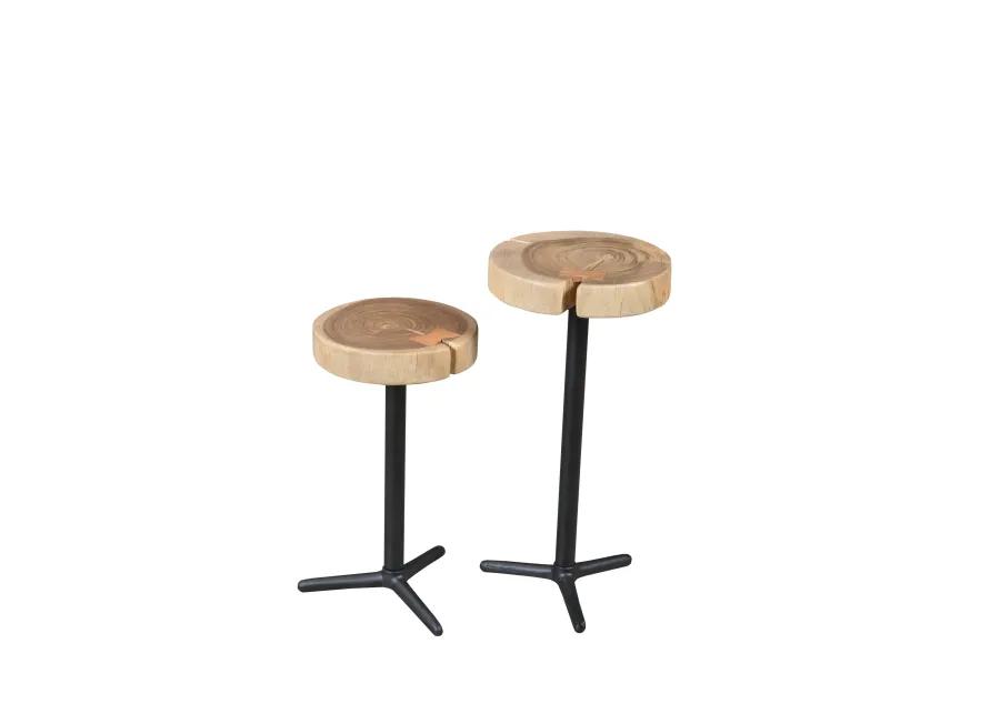 Organic Martini Tables - Set of 2