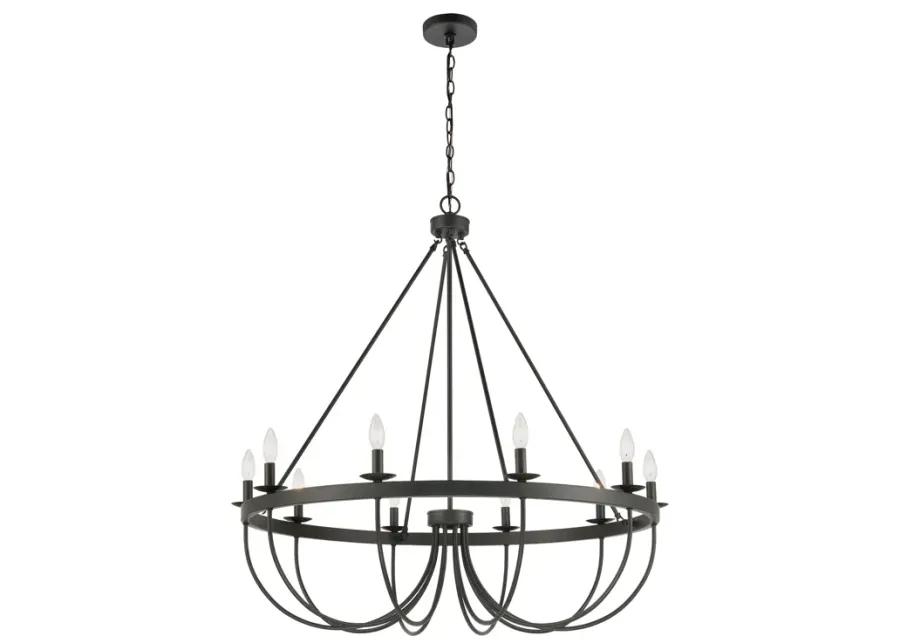 Williamson 38" Wide 10-Light Chandelier - Black