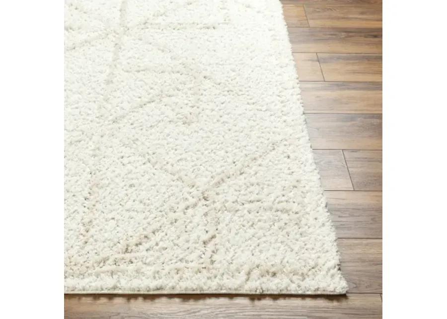 Maryland Shag 5'3" x 7' Machine Woven Rug