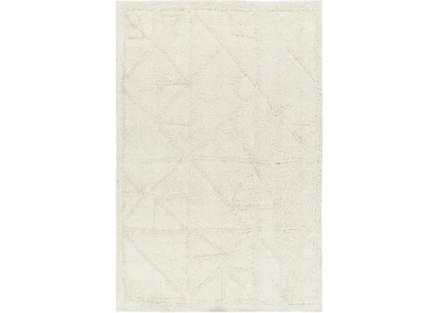 Maryland Shag 5'3" x 7' Machine Woven Rug