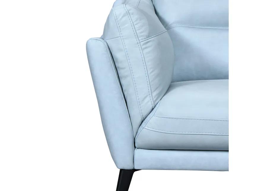 Franz Sky Blue Leather Sofa