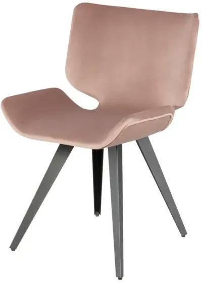 ASTRA DINING CHAIR