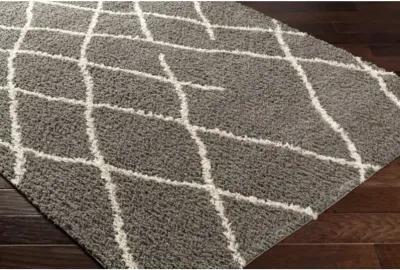 Maryland Shag MSG-2308 6'7" x 9' Machine Woven Rug