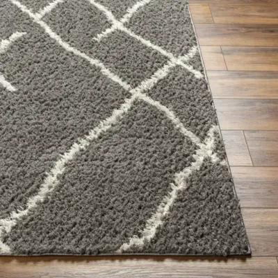 Maryland Shag MSG-2308 6'7" x 9' Machine Woven Rug