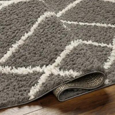 Maryland Shag MSG-2308 6'7" x 9' Machine Woven Rug