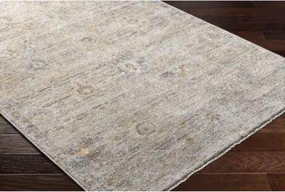 Rojin ROJ-2303 9' x 13'1" Machine Woven Rug