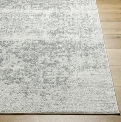 Harput HAP-1024 2'7" x 16' Rug