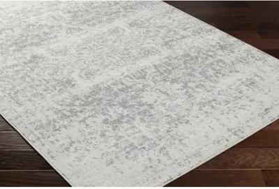 Harput HAP-1024 2'7" x 16' Rug