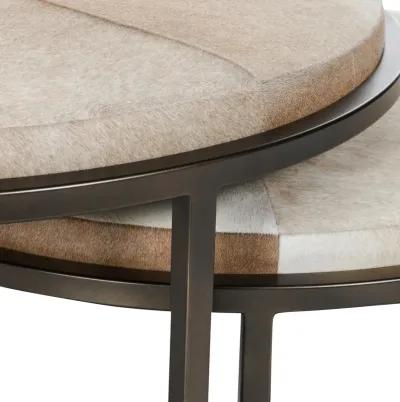 Hayword Hide Set of 2 Nesting Coffee Tables in Sparrow Gray