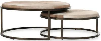 Hayword Hide Set of 2 Nesting Coffee Tables in Sparrow Gray