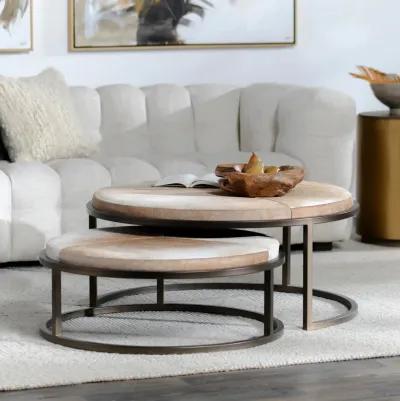 Hayword Hide Set of 2 Nesting Coffee Tables in Sparrow Gray