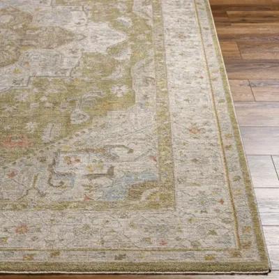 Avant Garde AVT-2363 7'10" x 10'2" Machine Woven Rug