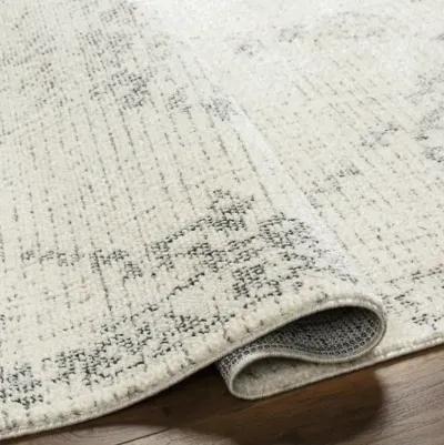 La Boheme LHB-2303 3'11" x 5'7" Machine Woven Rug