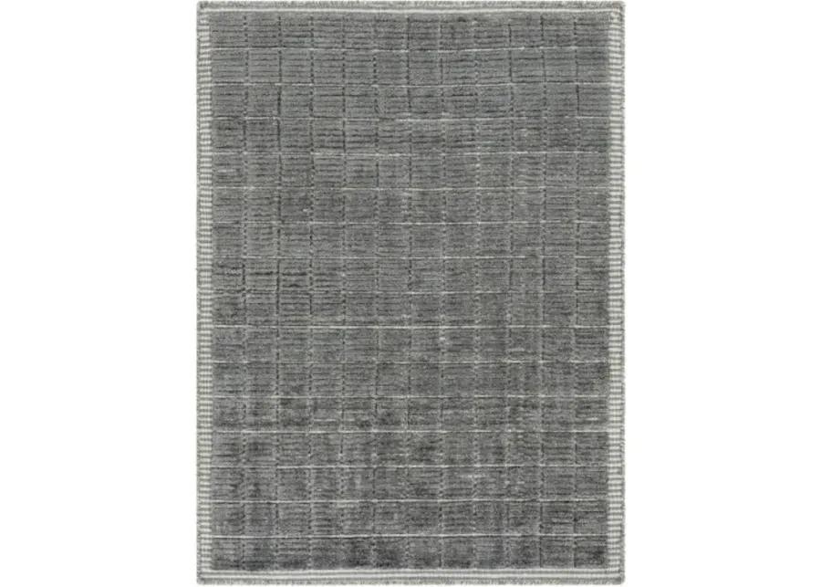 Carre CCR-2302 2'6" x 8' Rug