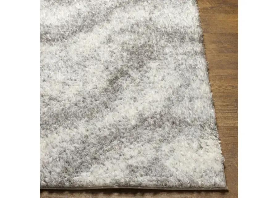 Cloudy Shag CDG-2306 7'10" x 10' Machine Woven Rug