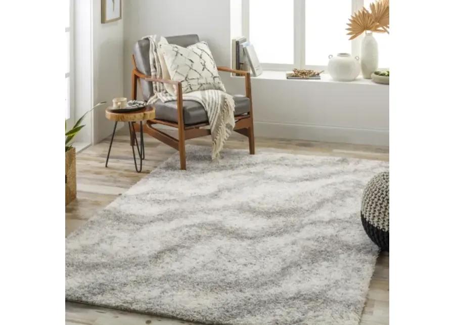 Cloudy Shag CDG-2306 7'10" x 10' Machine Woven Rug