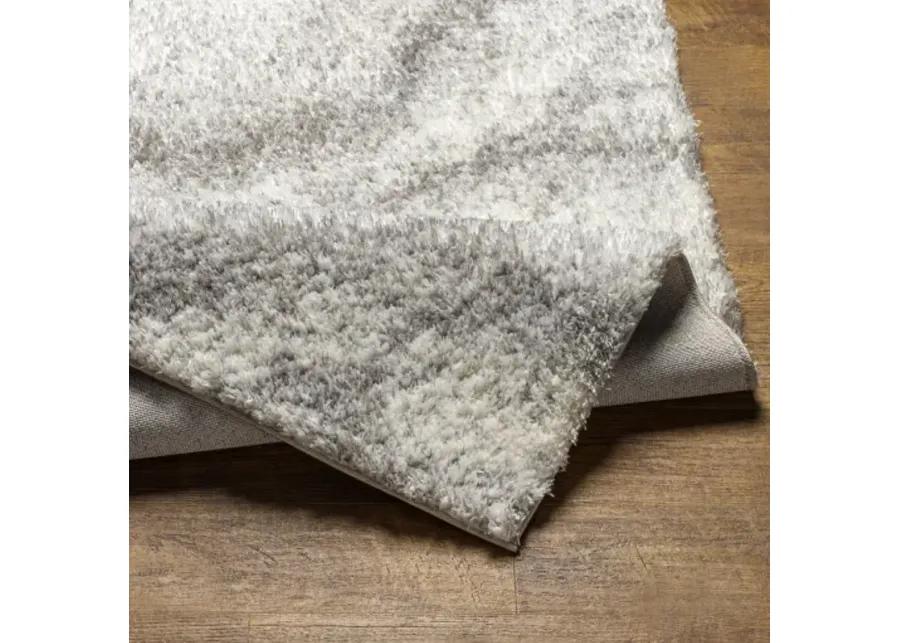 Cloudy Shag CDG-2306 7'10" x 10' Machine Woven Rug